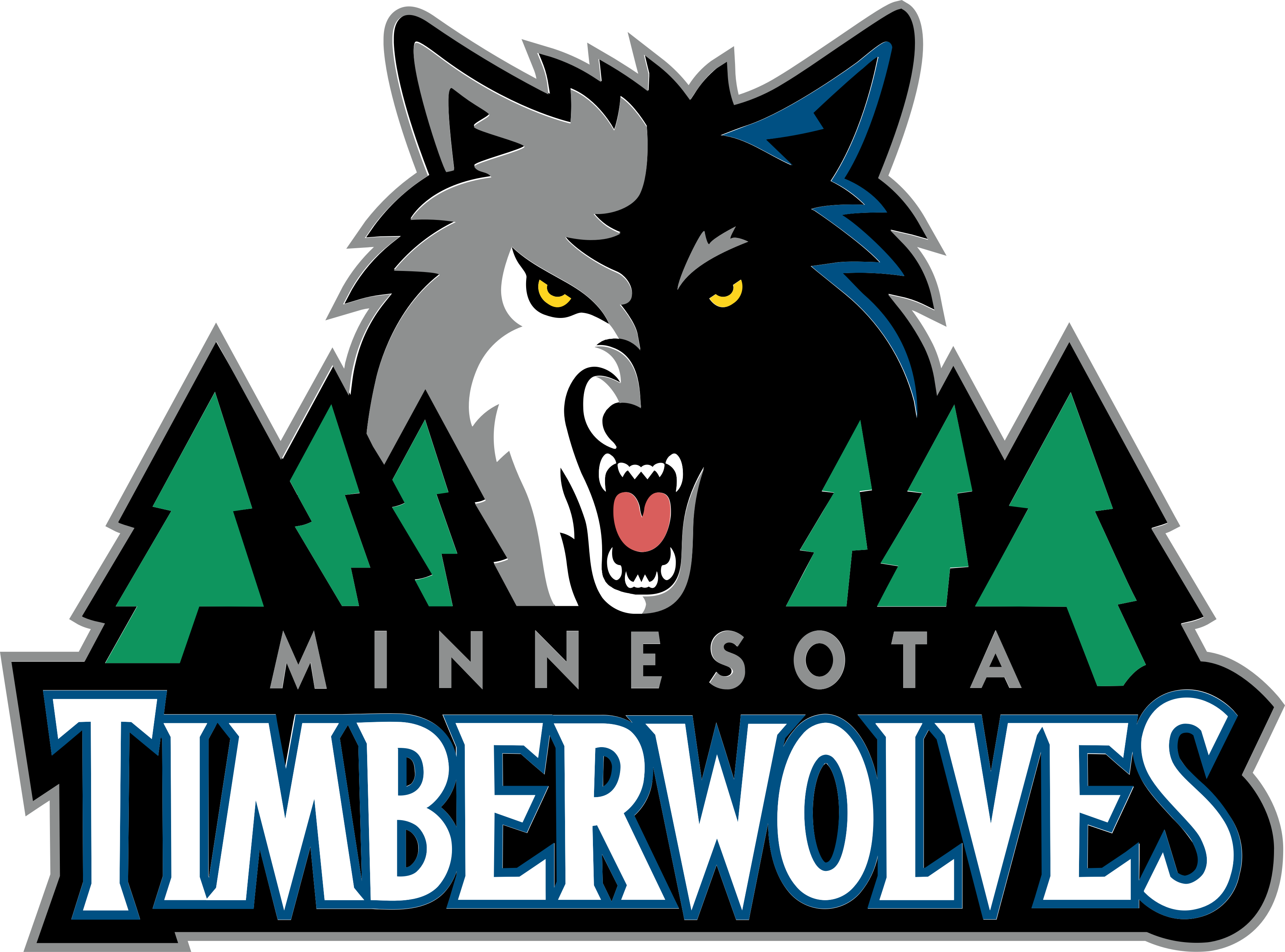 Minnesota Timberwolves